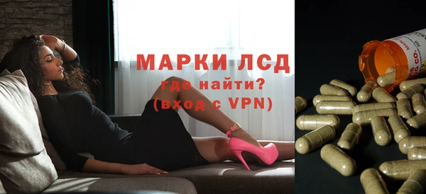 стафф Алзамай