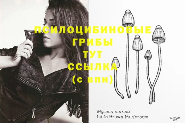 стафф Алзамай