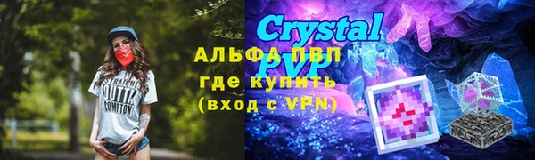 стафф Алзамай