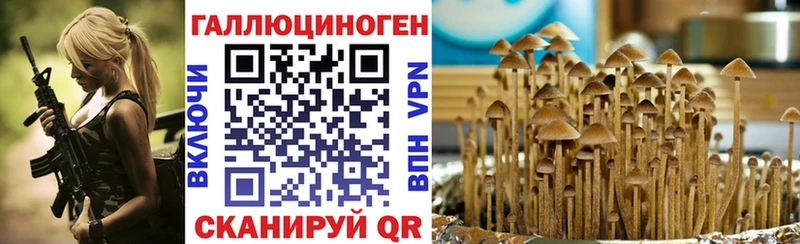 Псилоцибиновые грибы мицелий  Шелехов 